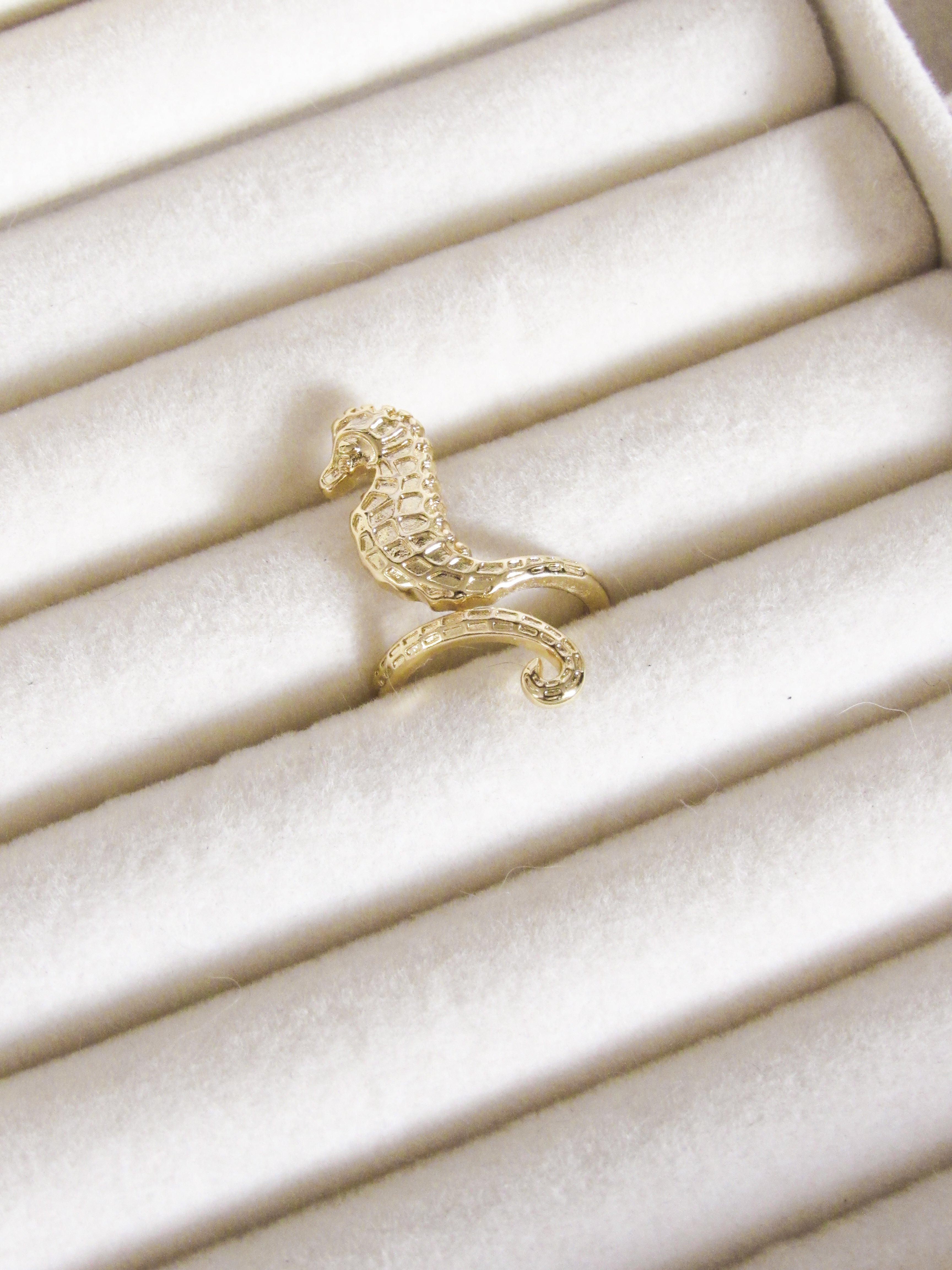 Anillo graduable caballo de mar