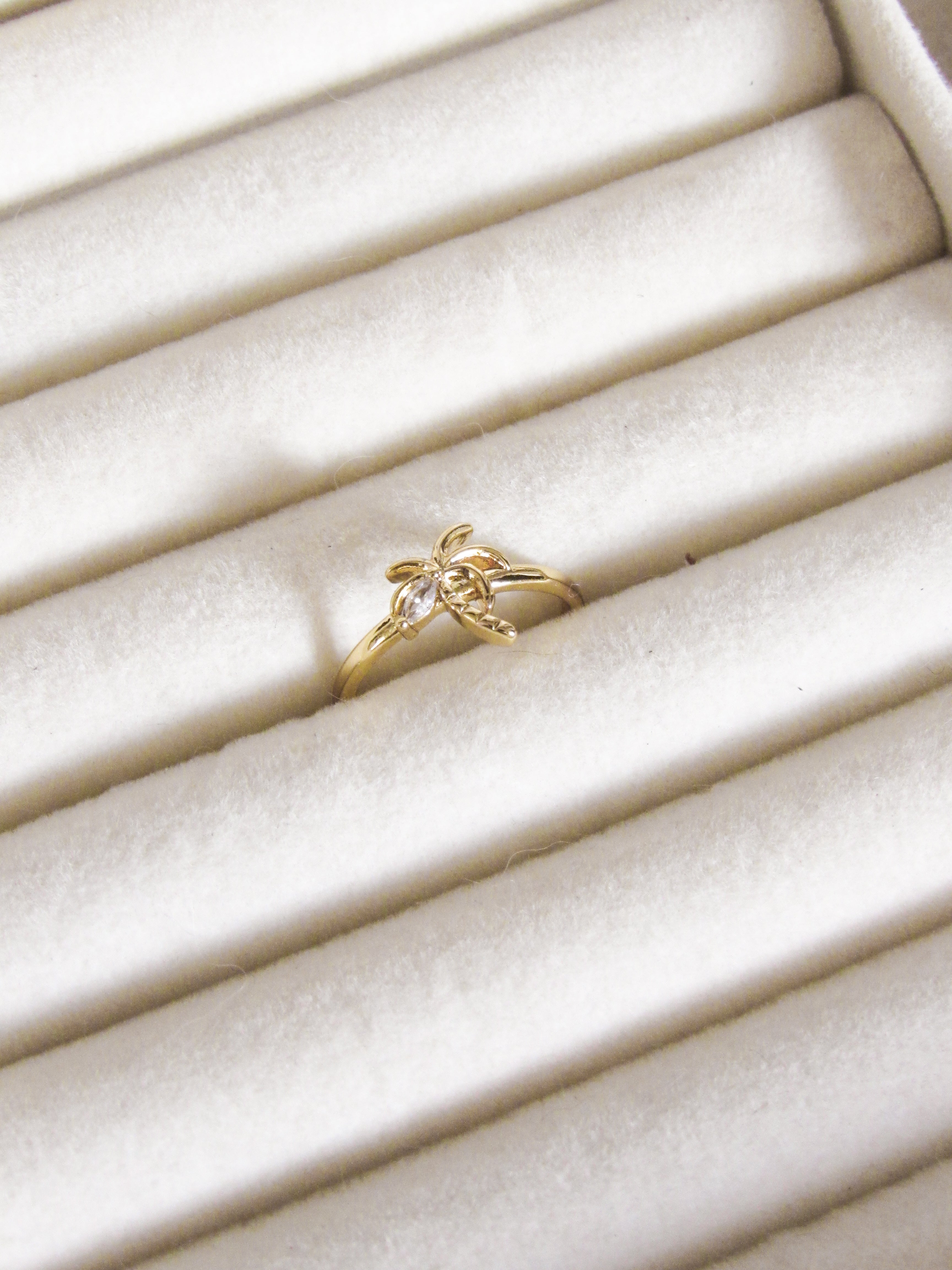 Anillo graduable palmera