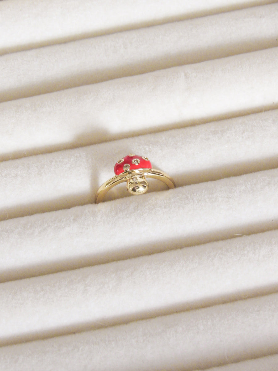 Anillo graduable hongo