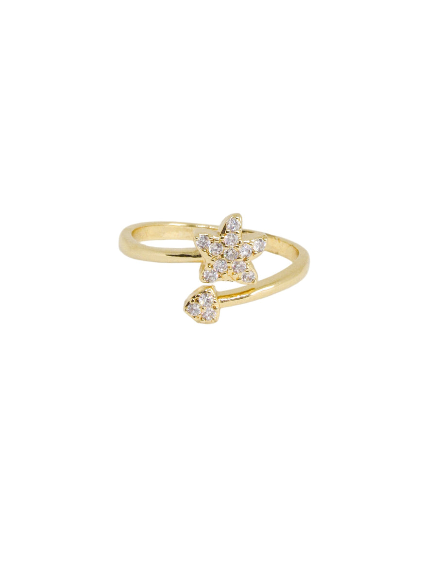 Anillo graduable estrella