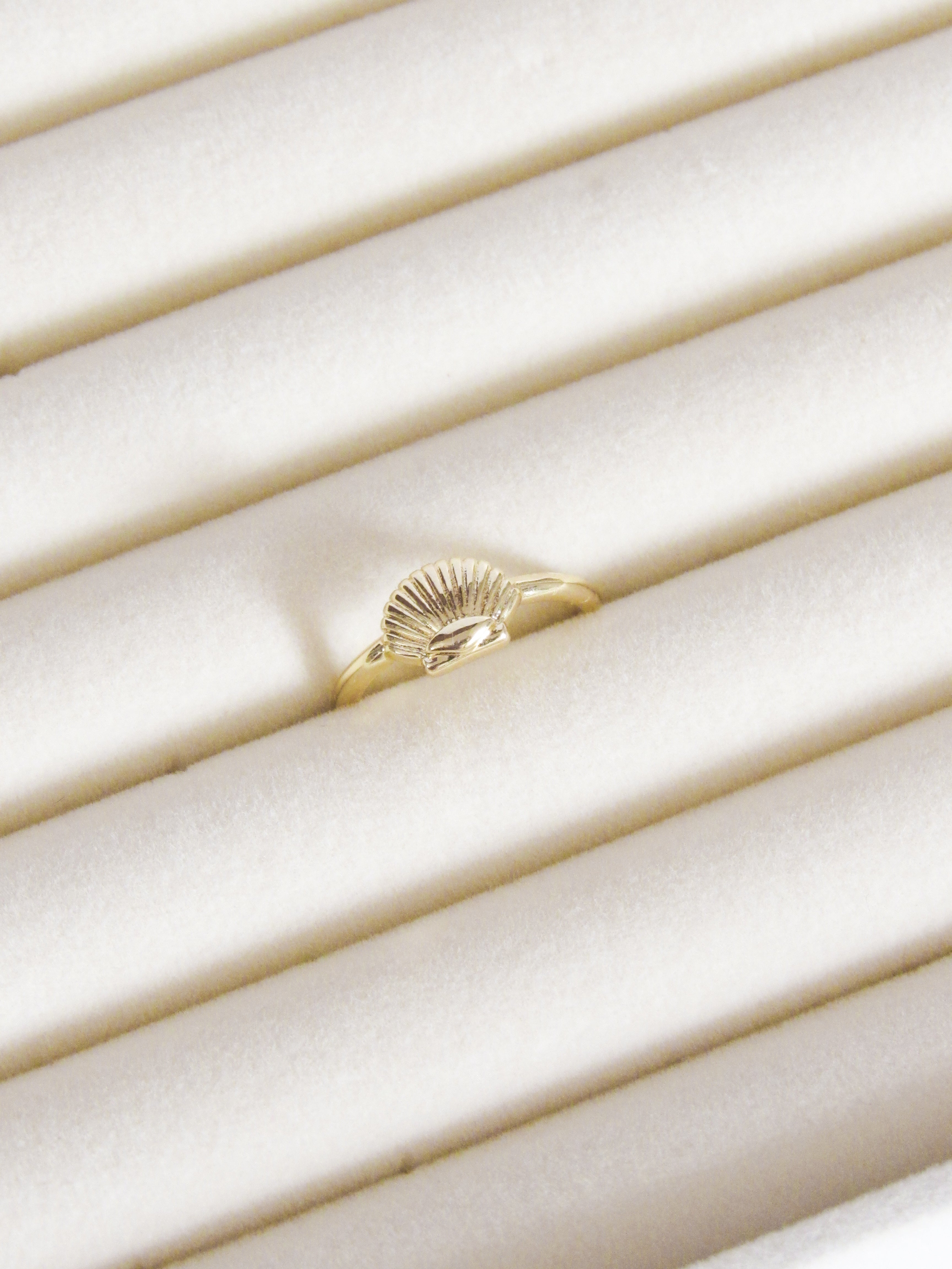 Anillo graduable concha
