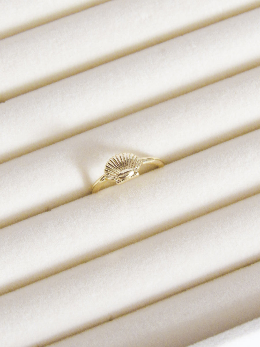 Anillo graduable concha