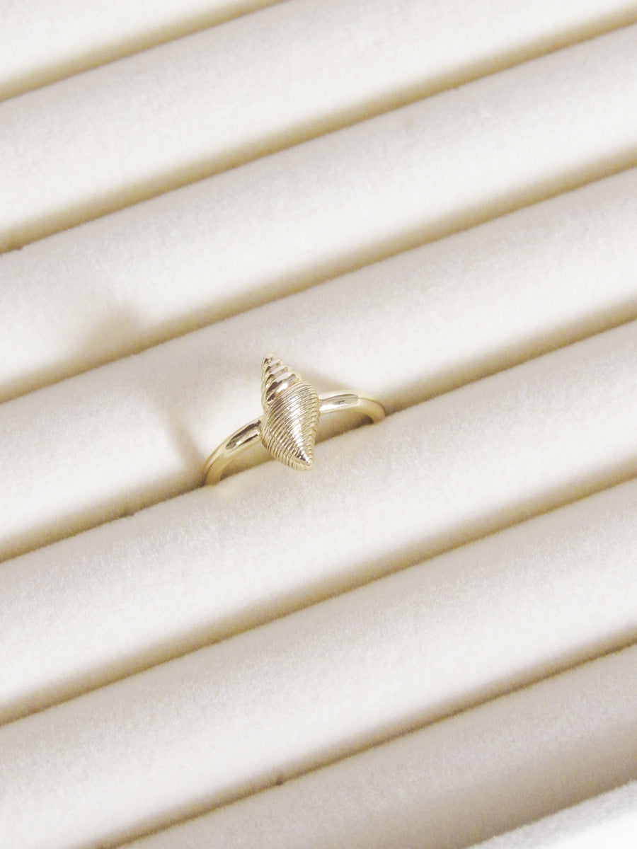 Anillo graduable caracol