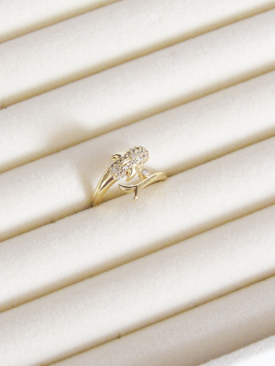 Anillo graduable delfín