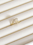 Anillo graduable delfín