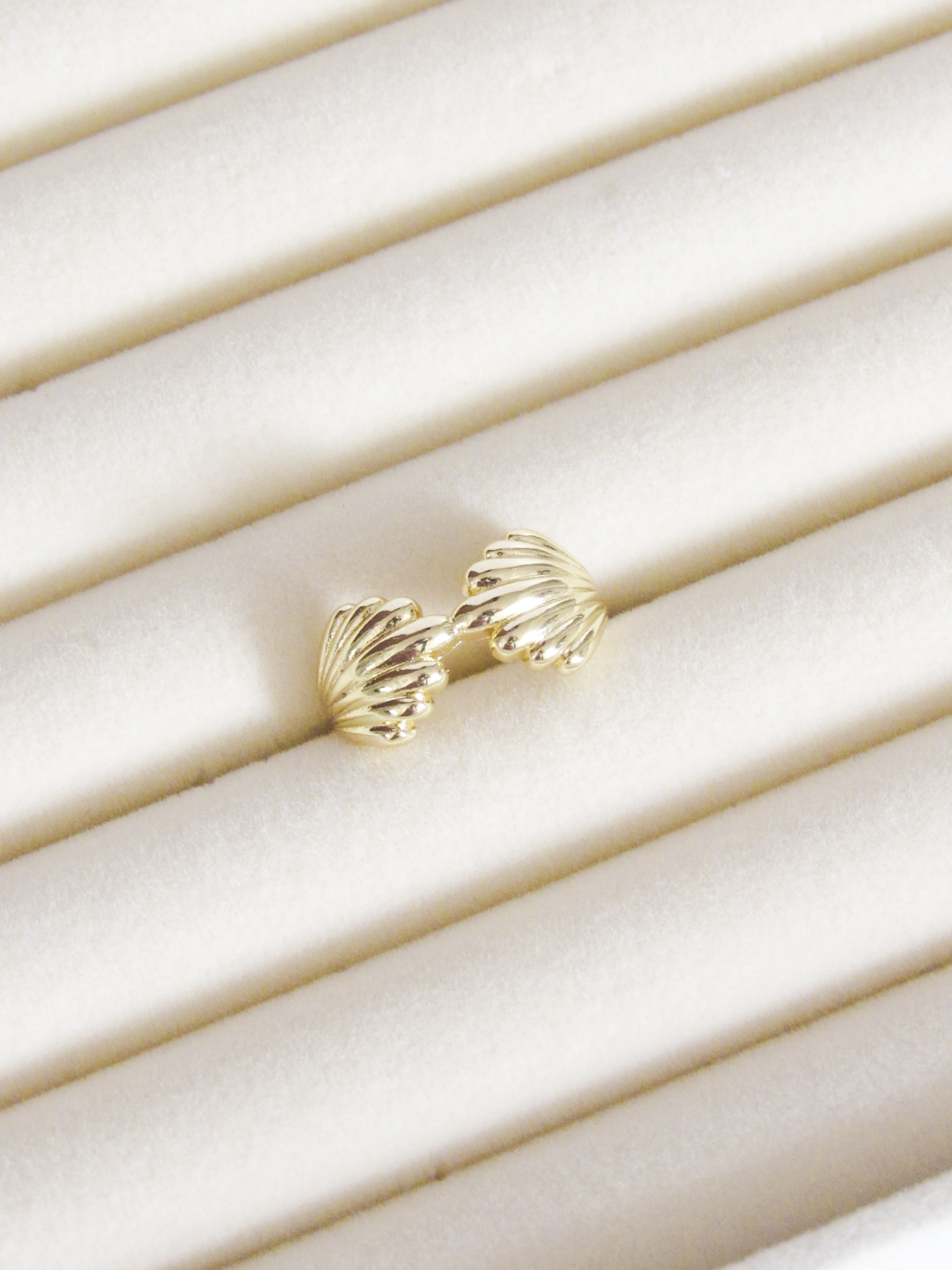 Anillo graduable conchas