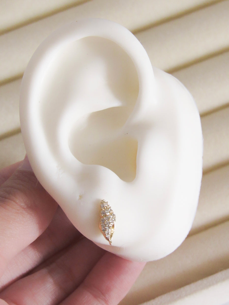 Topos caracol