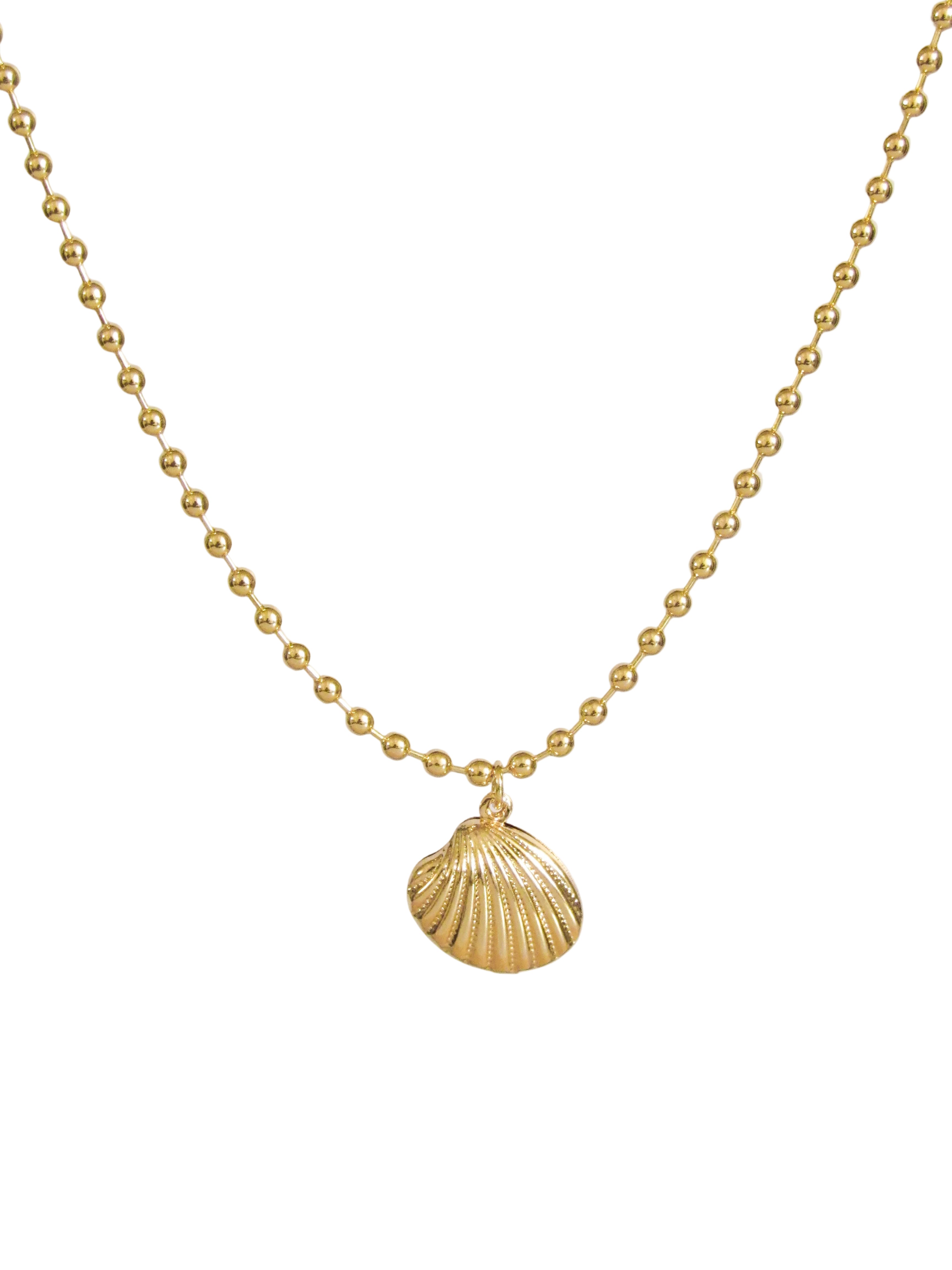 Collar concha