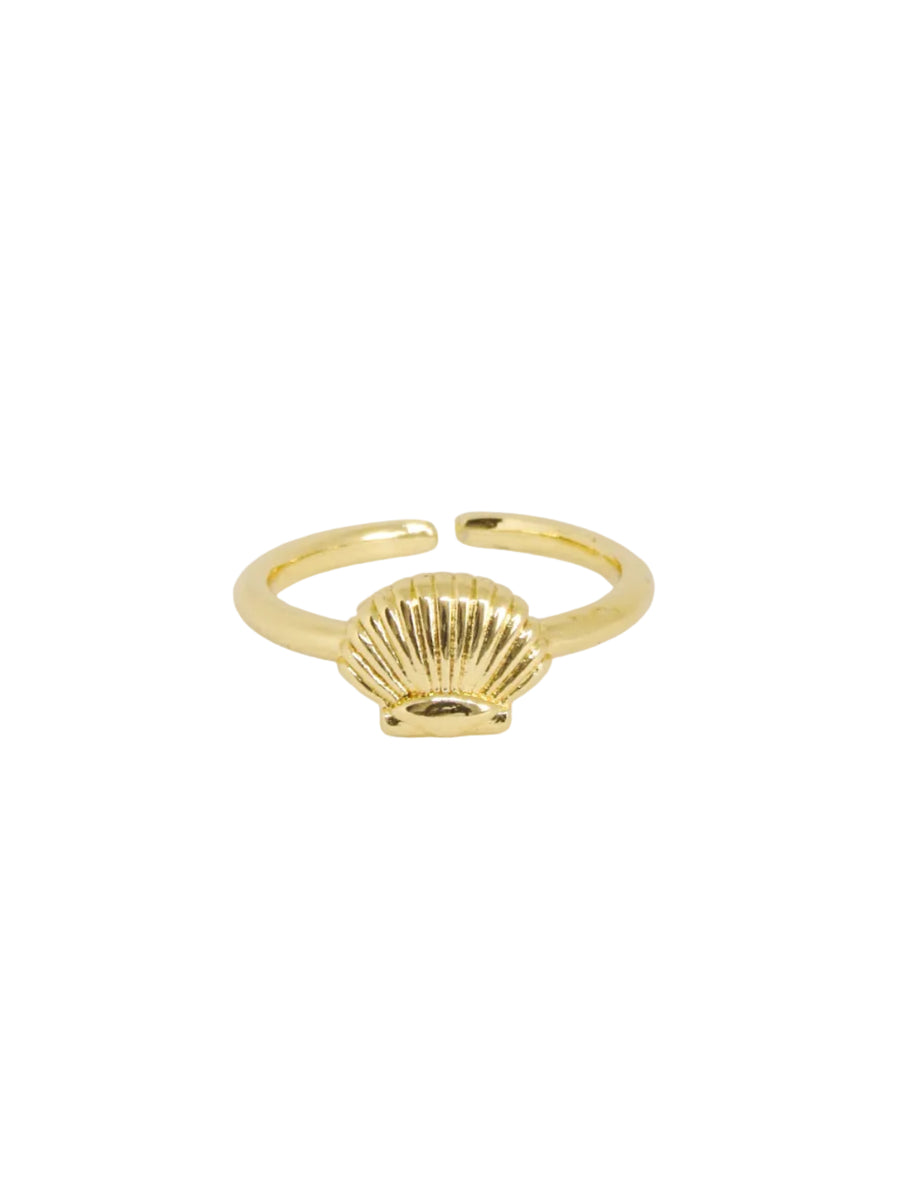 Anillo graduable concha