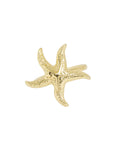 Anillo graduable estrella de mar