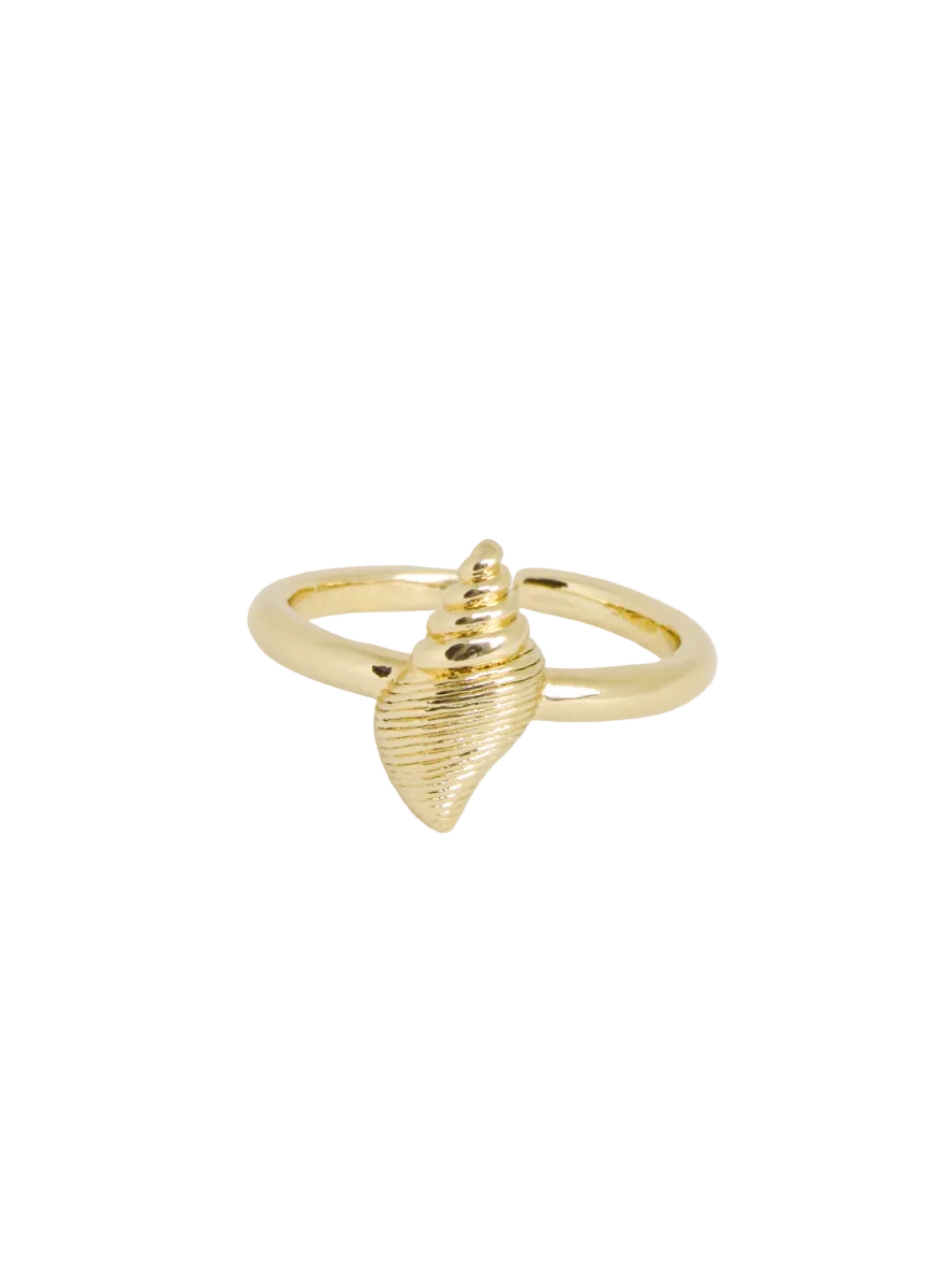 Anillo graduable caracol