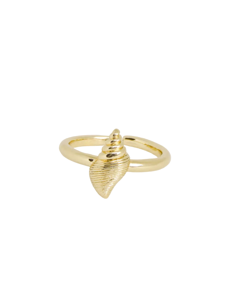 Anillo graduable caracol