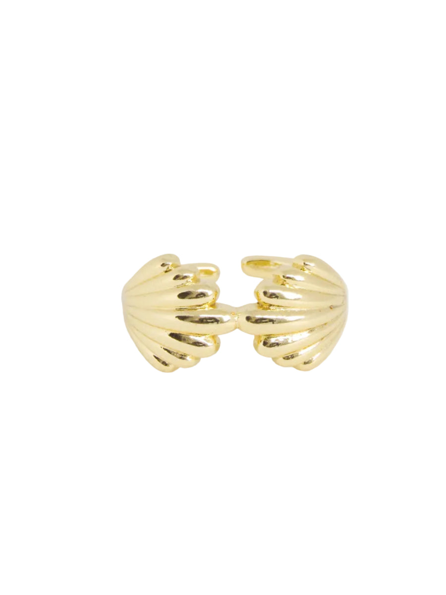 Anillo graduable conchas