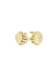 Anillo graduable conchas