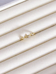 Anillo graduable espiga
