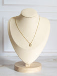 Collar zircón