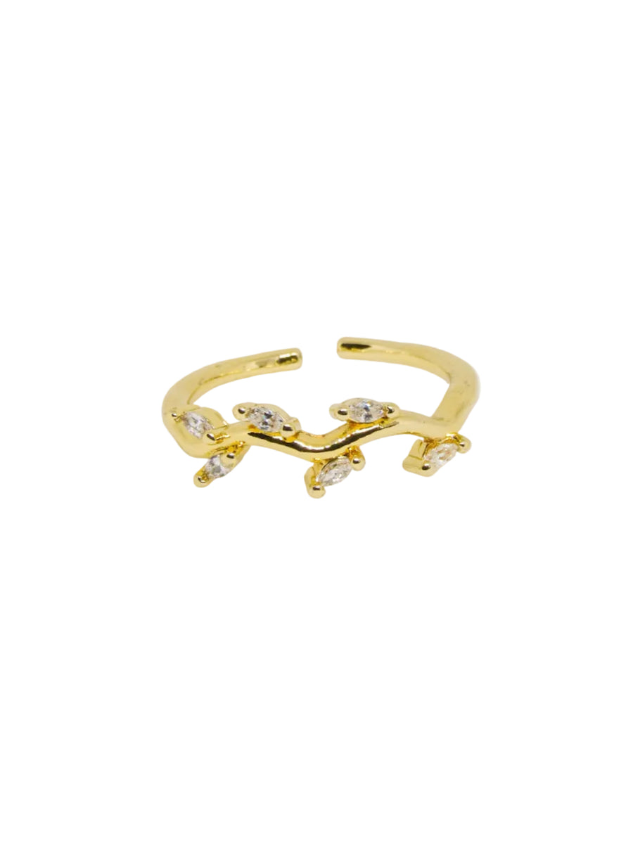 Anillo graduable espiga
