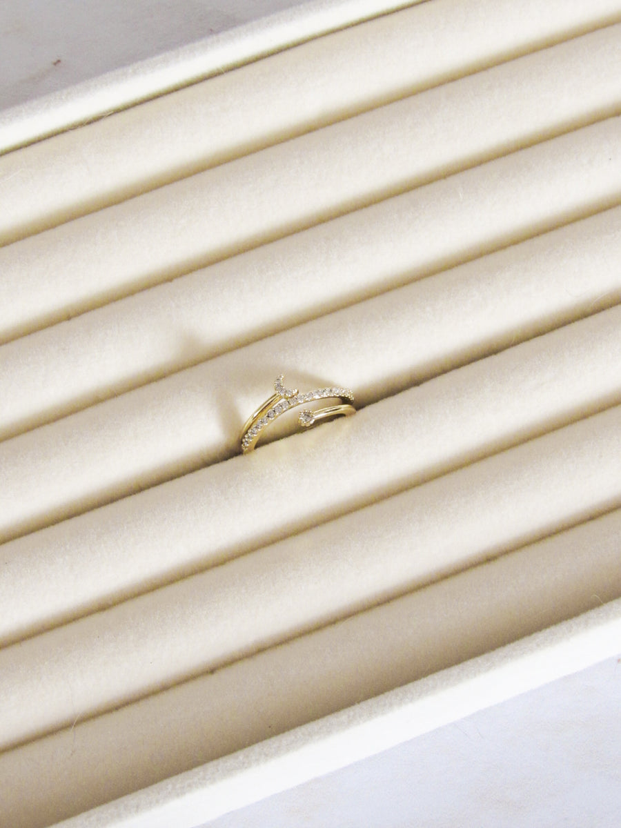 Anillo graduable luna