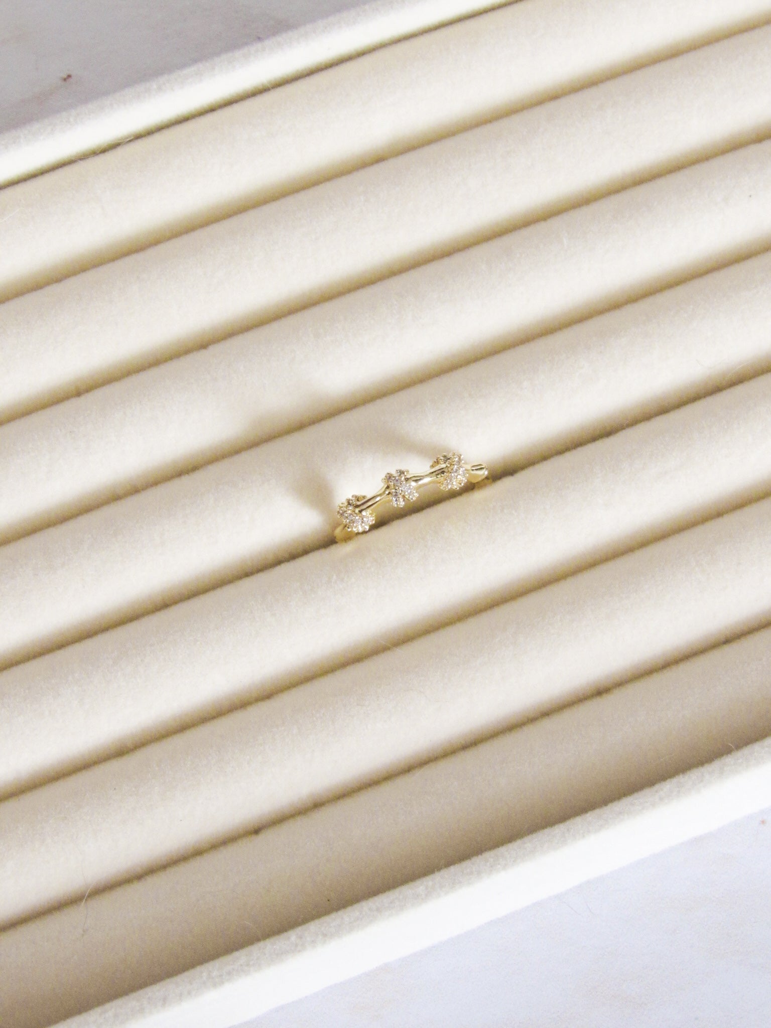 Anillo graduable nudos