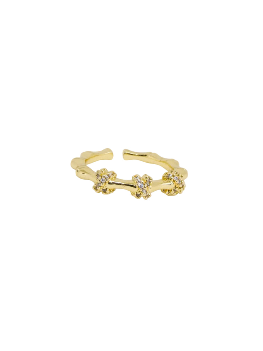 Anillo graduable nudos